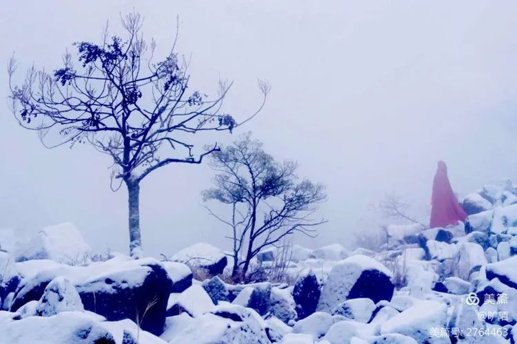 天台|虎年吉祥! 天台苍山顶万年石浪的雪境, 如童话, 如传奇!