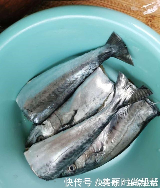 浑身|被人“误解”最多的鱼,浑身都是宝,比甲鱼营养,8元1斤不算贵