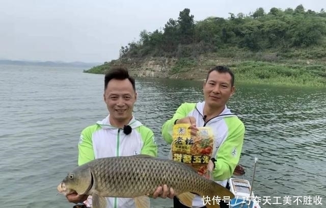 垂钓|六月份如何钓鲤鱼这三个细节没有忽视，上鱼才会更多更快