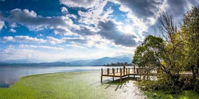 四川私藏的紫蓝色花海，就藏在这座低调的航天小城，别样的浪漫