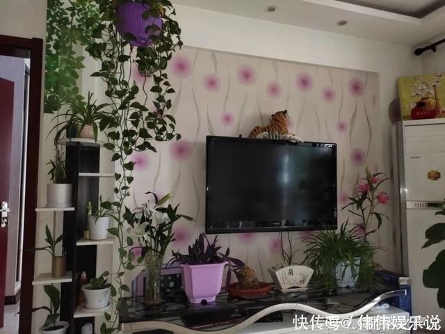 地方|夏天养花,这个地方千万别摆,否则3天死翘翘