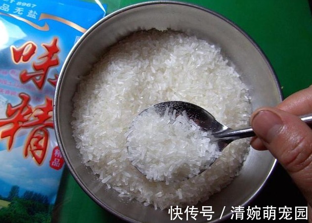 西兰花|肝不好的人，忌口“三白”，常吃“四绿”，肝一天比一天好