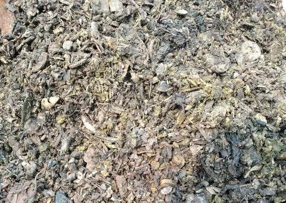 4种垃圾不会分类别担心,埋在花盆底,叶子绿得直滴油!