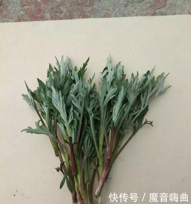 饭桌上不常见的野菜,吃过的人是少数,农村人才认识!