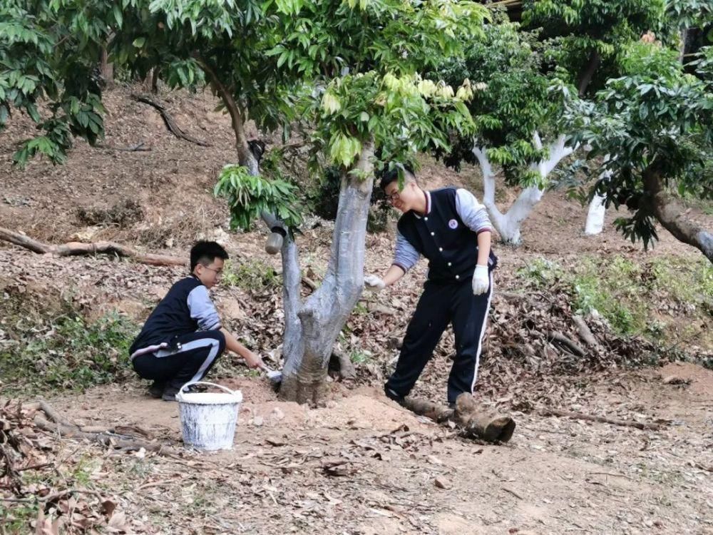  压满|品遍香茗尝甘苦 压满繁花定枯荣