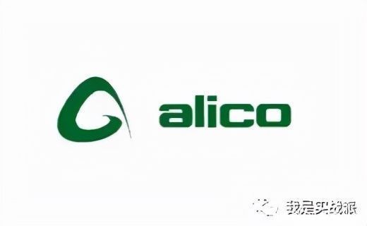 意大利|ALICO重装鞋赏析
