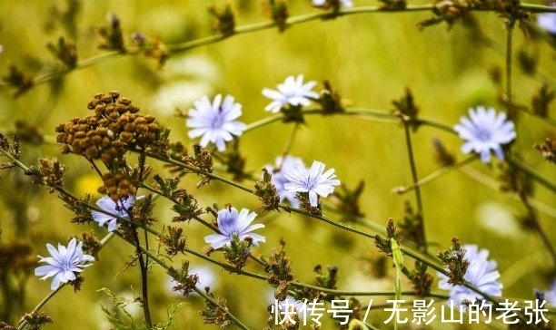 双子座|未来9天，风雨过后，真爱降临，月老撮合，爱火复燃，白头偕老