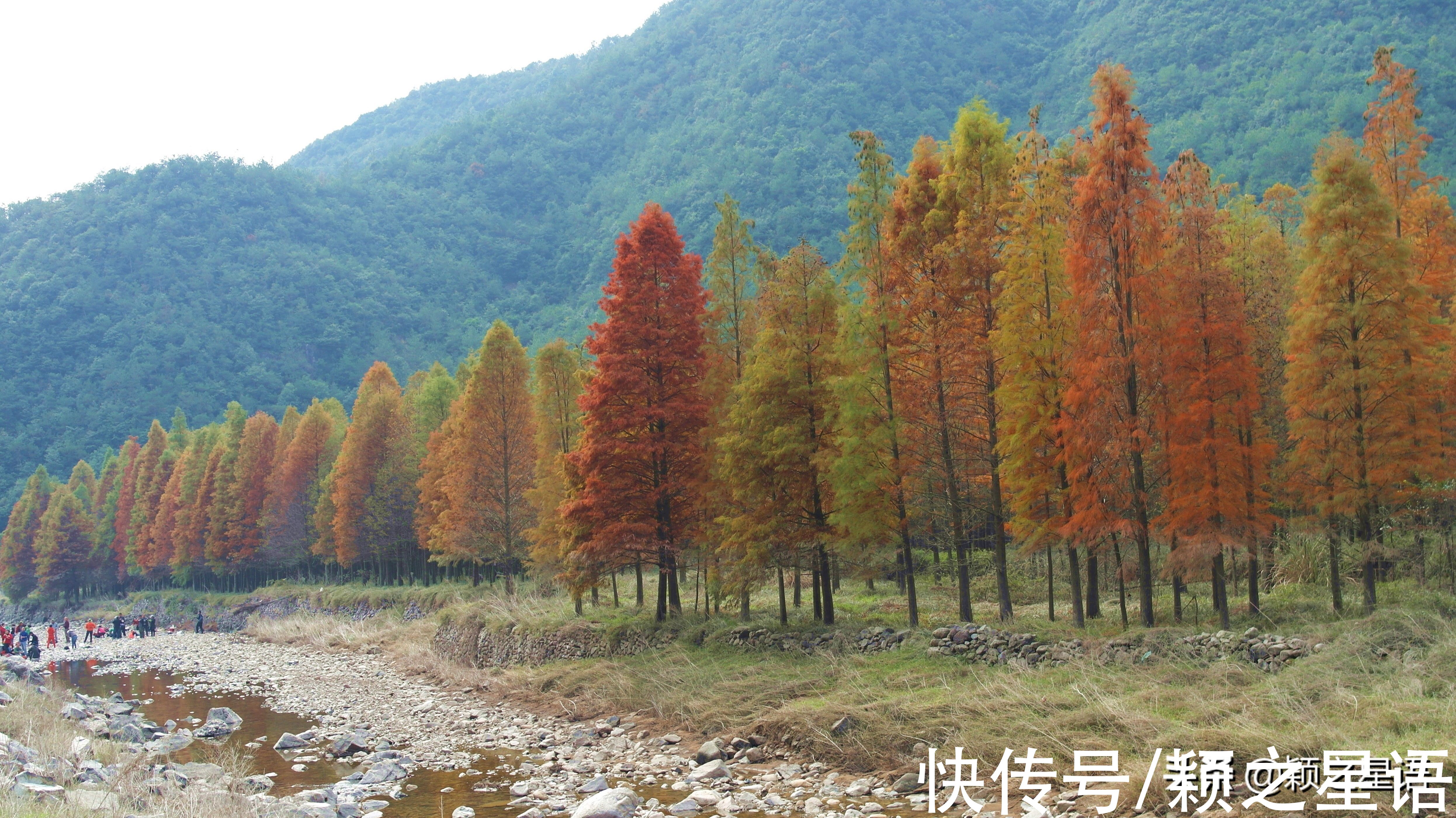 桐坑|穿过隧道，豁然开朗，四面环山，这才是真正的世外桃源