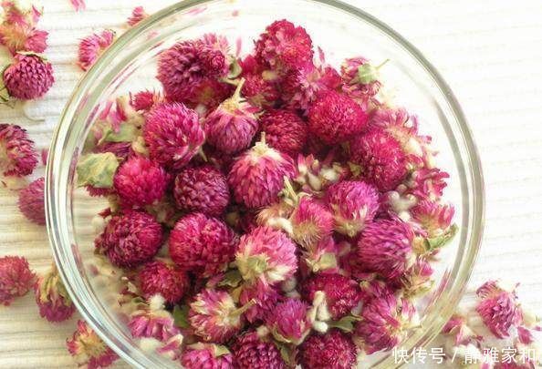 一种能常开不败的花卉盆栽，象征着永恒的爱，还能泡茶，受人喜爱