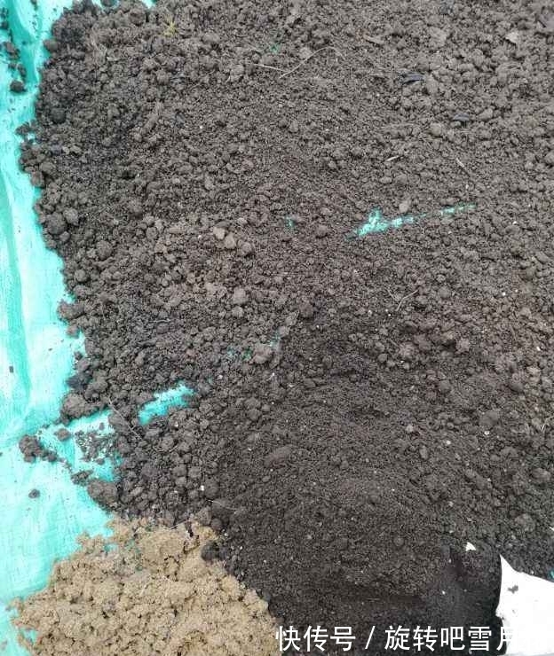 栽种|养花“小抠”教你省钱:用它们当基质土,钱包不用再“缩水”了