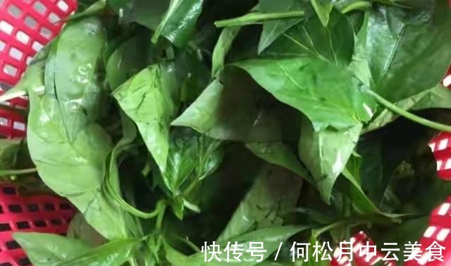 江南人|60种常见野菜,高清大图,收集全了真不容易!