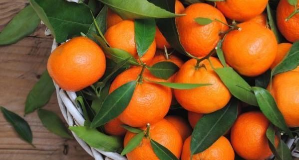 很多人爱吃的橘子,切记别和此物一起吃,是大忌,别把身体吃坏了