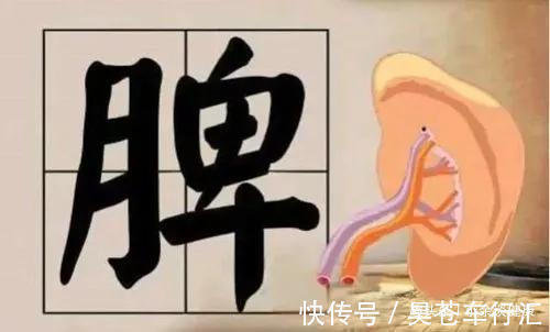 四白|脾虚比肾虚严重!脾虚才湿气重?去湿气最好的中成药你知道几个?