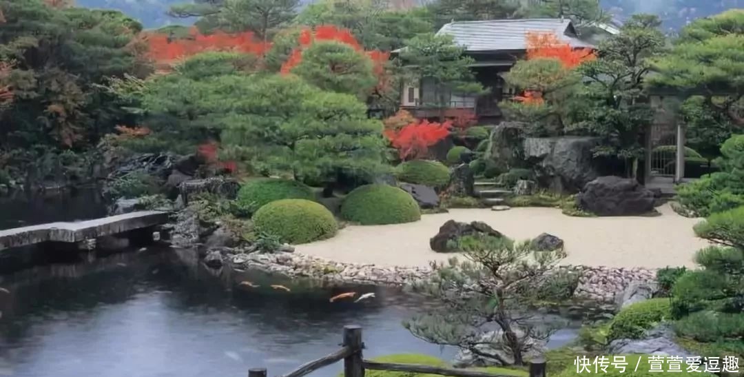 庭院种什么树最吉利，还好看？