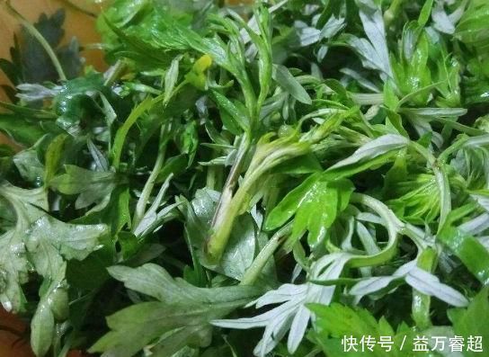 艾叶煮水太厉害了，男人女人都离不开，现在知道还不晚