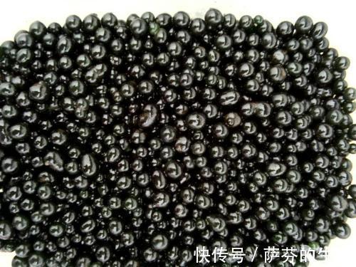 荠菜|农村此几种野菜，有钱人当成宝，恨不得天天吃，营养不输冬虫夏草