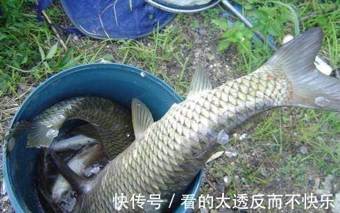 钓饵|秋季钓鱼不用慌,二十年老钓友教你一招“鲫鱼饵”,钓鲫鱼一绝