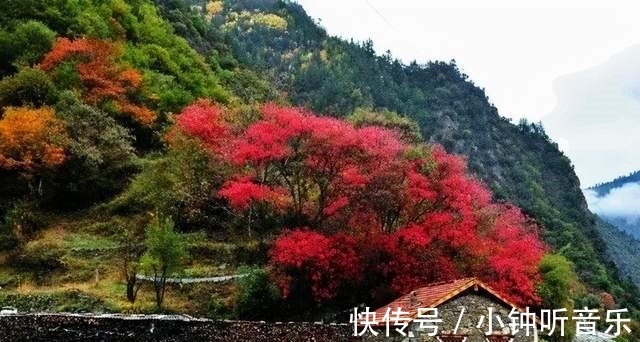 米亚罗|「猛古村」人间忽晚，山河已秋