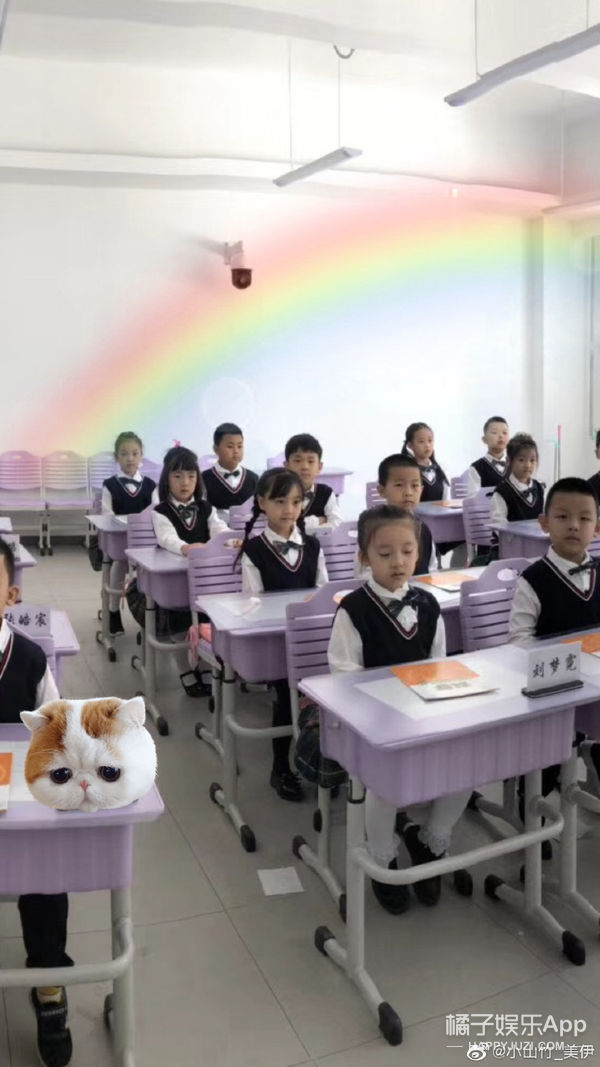 劉海|還記得《爸爸去哪兒》的小山竹嗎？她現在長這樣！