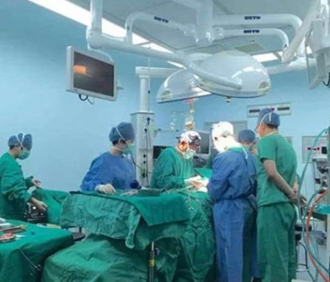 狒狒|35年前移植狒狒心脏的那个女孩,活了多久异种移植可行吗