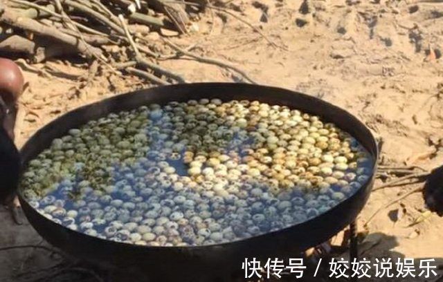 大爷|大爷支起一口大锅,600个鹌鹑蛋放进锅里煮,一小时出锅,傻住
