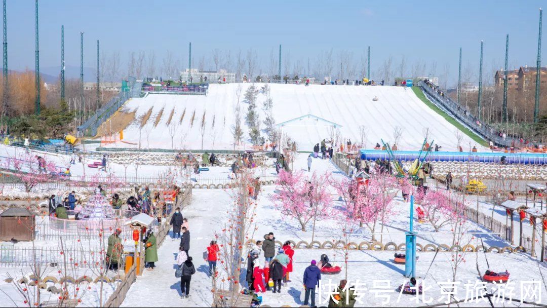 昌平|在北京过元旦，去滑雪：体验“桃花白雪”诗境，密云、昌平、丰台游玩地推荐来了！