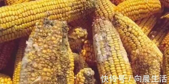 癌症|常吃这4类,提前恭喜你,你得癌症的可能性很小