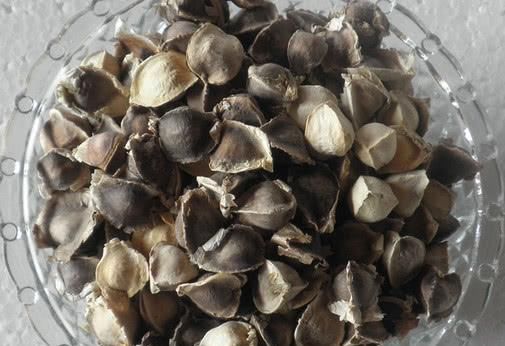  幽门螺杆菌的“杀手”找到了, 喝水时撒一把, 大小胃病都赶跑