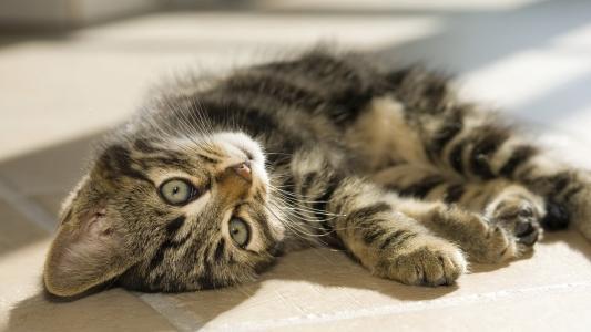 |幽默笑话刚结婚的时候,老公每天都盼着天早点黑好睡觉