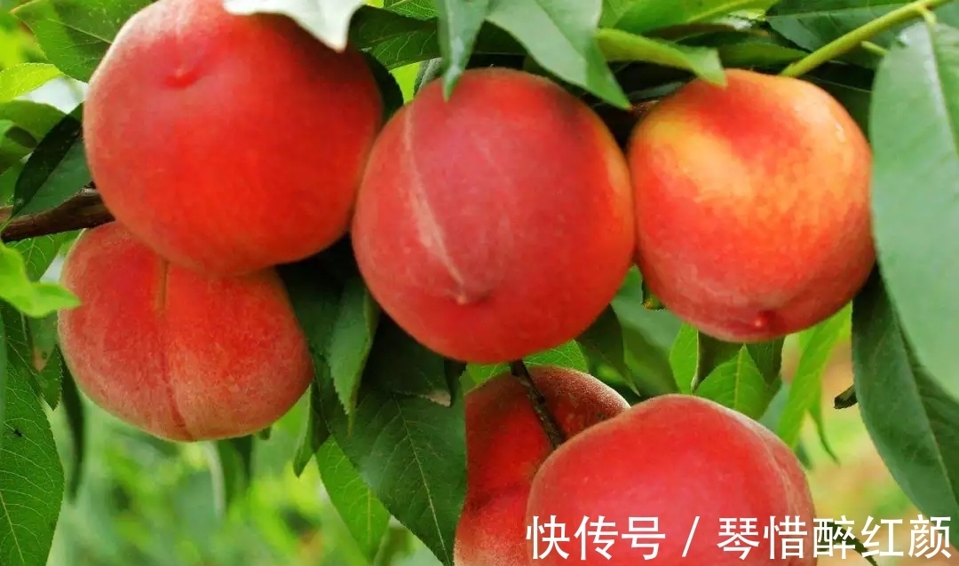 藏头诗|涓涓隽语教师节再寄情涓涓,作古风藏头诗:祝天下教师教师节快乐