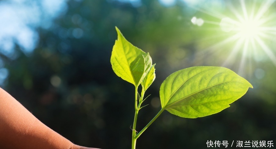 小花|养花不能用的3种土、4种水，不利于花卉生长，啥花都养不久