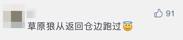 竟然 “广寒宫土特产”已签收！“嫦五”回家第一个找到的竟然是它？