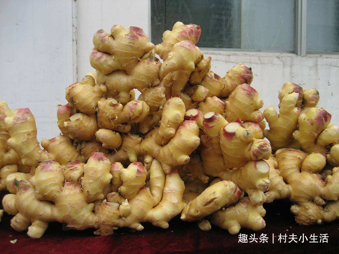 姜皮|生姜放进锅里蒸一蒸,原来好处这么多,高手在民间,长见识了