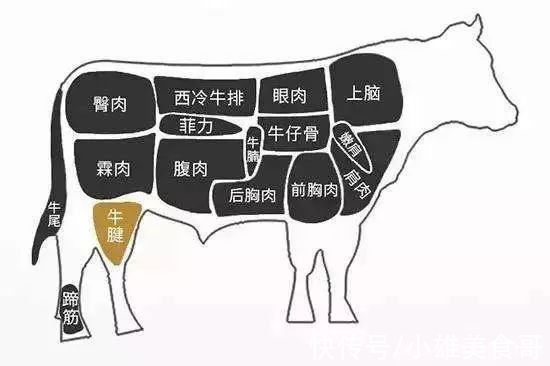 “牛前腱”和“牛后腱”“金钱腱”差别这么大，看完后别再买错了