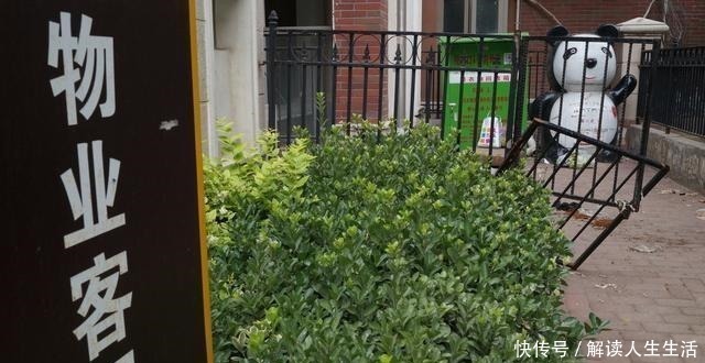 透露|中介透露“房龄”一旦超过这个数，价格再低也不 要入手！