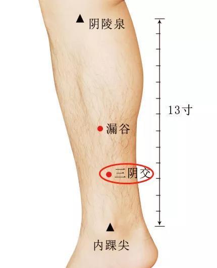 气血|皮肤发黄粗糙、皱纹早发多是气血不足，艾灸按揉这三个穴位就行