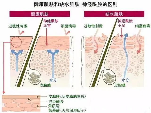 皮肤科 中日友好医院皮肤科出手了！15块钱搞定皮肤干燥，全身都能用