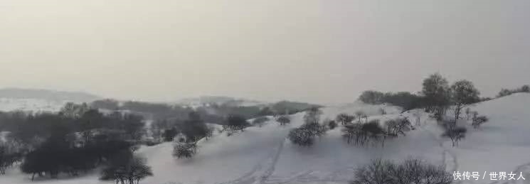 典签|【初唐四杰:命运多“劫”】探秘诗歌天团“王杨卢骆”之卢照邻