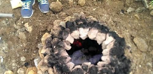 叫花鸡、土窑鸡、富贵鸡、荷叶鸡、泥焗鸡做法解析,看完包会