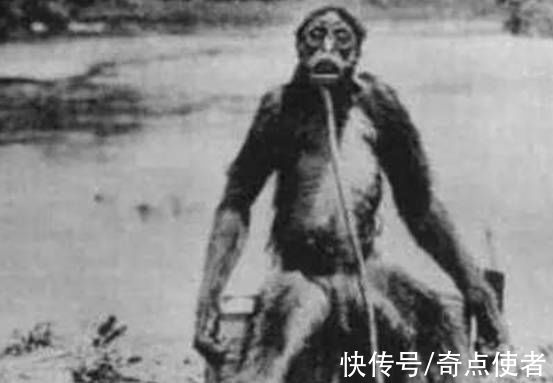 生物|神农架真有“野人”出没？多处禁止人类靠近，究竟在隐藏什么？