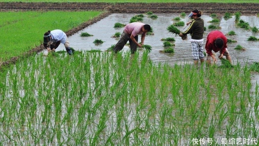 特点|调查显示：长寿的人都有这5个“特点”，若占2个以上，恭喜你