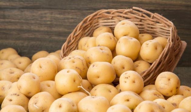 土方法|土豆片+黄鳝汤治痔疮堪称一流?用这个方法,8年老痔疮成功除根