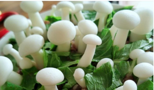 喜欢做这菜,贵是贵点,清甜美味,做一盘儿子连汁都不剩