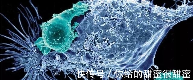 宇航服|“泡泡男孩”：12岁才走出隔离罩，在死亡前第一次触摸到了妈妈