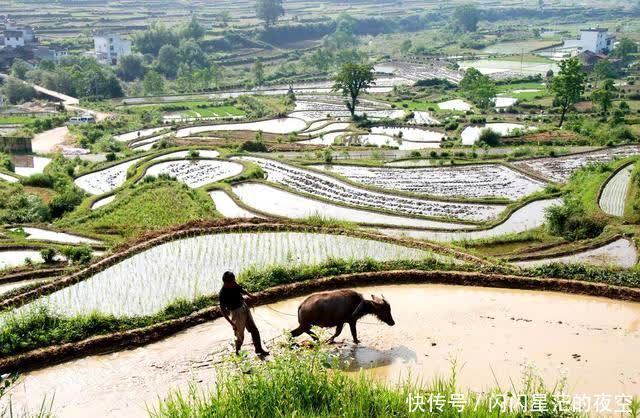 沿着高速看中国｜景婺黄高速：穿越四季如画“最美乡村”