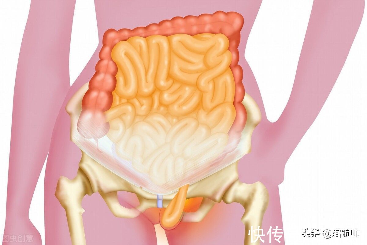 黄牌|汗颜！郑智黄牌属于教练还是球员，曝韦世豪腹股沟不适去医院检查