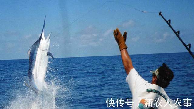 湖北一男子野钓过瘾,意外收获1.68米的“淡水之王”,直接扛回家