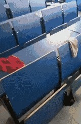 |搞笑GIF:刚娶的媳妇 衣服都还没换 本性就露出来了