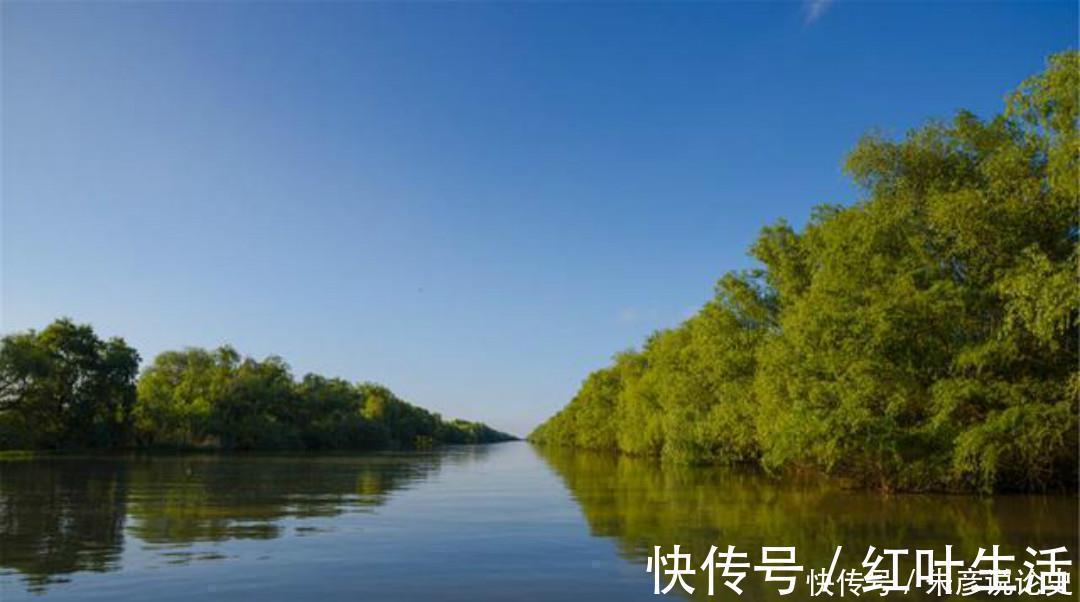 伤感@孤独的诗人写下一首思乡之作,无一字不伤感,无一字不忧愁