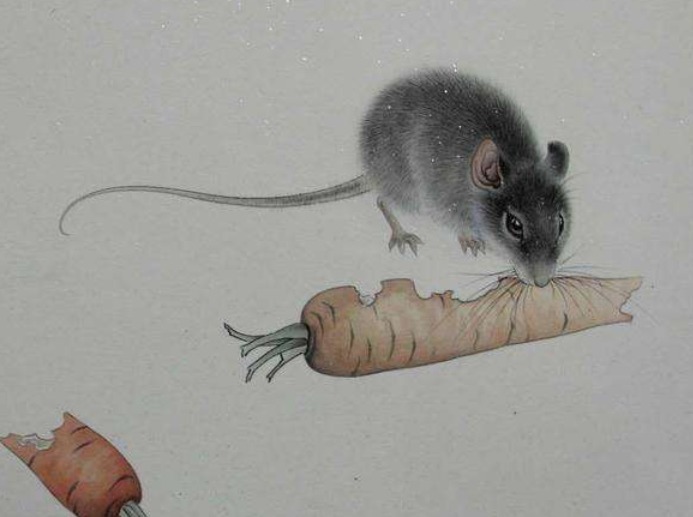 十二生肖|“老鼠偷吃粮”，家中有老鼠，为何会被视为一种吉祥